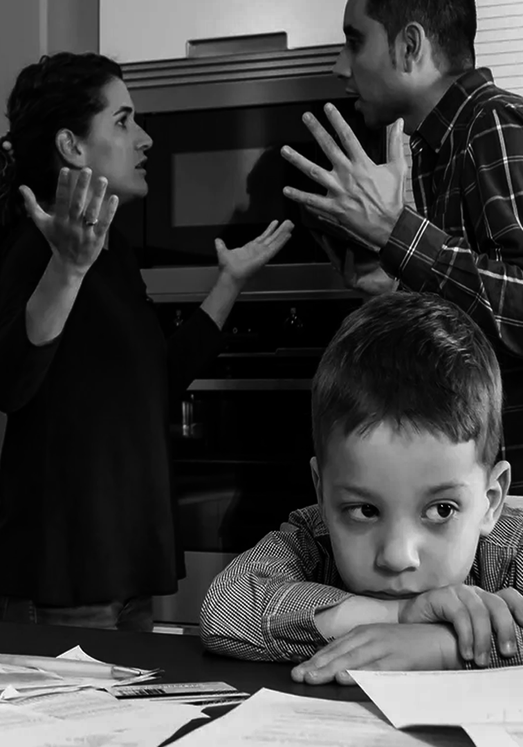 СЕМЕЙНЫЕ СПОРЫ&nbsp;